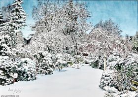 Winter in Lindenthal (1).jpg